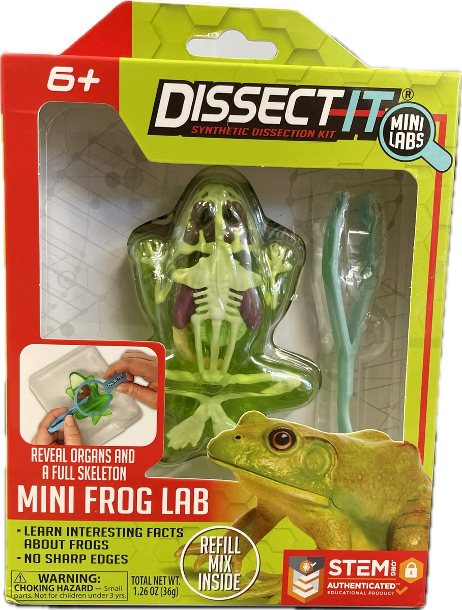 スポーツトイ・アクショントイ at design lab I スポーツトイ・アクショントイ at design lab I 楽天市場】スポーツ