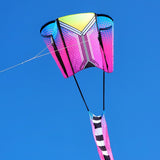 Aero Tech Power Sled 10 Kite - Purple Plum