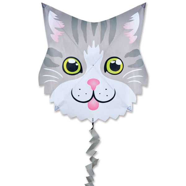 Fun Flyer Kite - Gray Cat