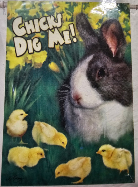 Chicks Dig Me - House Flag