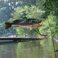 Swimming Fish - Bass