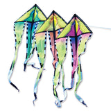 46 in. Flo-Train Delta Kite - Breeze (3-Pack Kite Bundle)