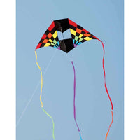 7.5 ft. Box Delta Kite - Rainbow Ray
