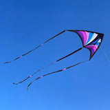 Brasington Taz Delta Bold, jewel-toned delta with large 106" wingspan