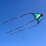 Brasington Taz Delta Bold, jewel-toned delta with large 106" wingspan