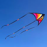 Brasington Taz Delta Bold, jewel-toned delta with large 106" wingspan