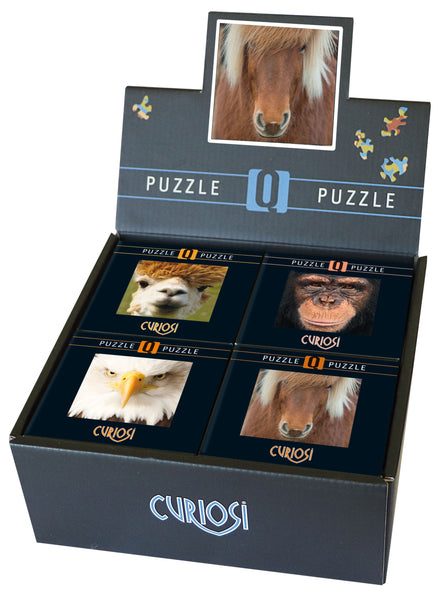 Q PUZZLE: ANIMAL II DISPLAY