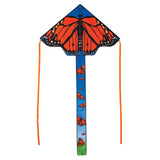 Graphic Fly-Hi Kite