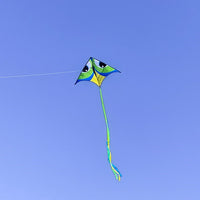 Manu Aurora 72" Delta Kite