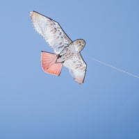 70" Red-Tailed Hawk Kite