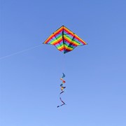 Rainbow Stripe 72" Delta with Spinning Tail