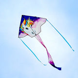 Graphic Fly-Hi Kite