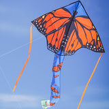 Graphic Fly-Hi Kite