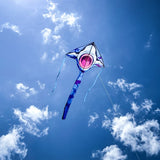 Graphic Fly-Hi Kite