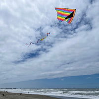 Rainbow Stripe 72" Delta with Spinning Tail