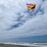 Rainbow Stripe 72" Delta with Spinning Tail