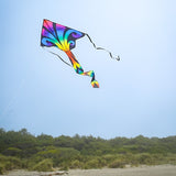 Graphic Fly-Hi Kite