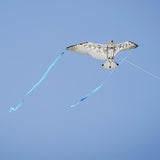 40" Bitty Bird Kite