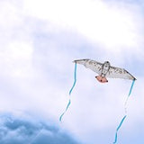 40" Bitty Bird Kite