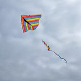 Rainbow Stripe 72" Delta with Spinning Tail