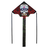 Graphic Fly-Hi Kite
