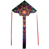 Graphic Fly-Hi Kite