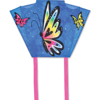 Mini Back Pack Sled Kites - Butterfly Sparkle