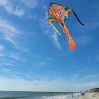 Lg. Easy Flyer Kite - Mandala
