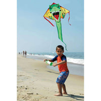 Lg. Easy Flyer Kite - T-Rex