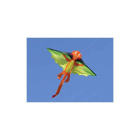 Flying Dragon Kite