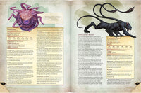 Dungeons and Dragons Dungeon Monster Manual