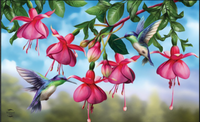 Flight Of The Hummingbirds Doormat