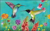 Hummingbird Greeting Doormat