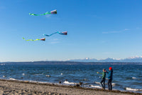 Pocket Flyer Single Line Kite