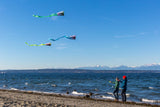 Pocket Flyer Single Line Kite
