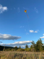 VERTEX - HIGH-FLYING DIAMOND KITE