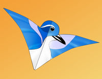 Western Scrub Jay Kite