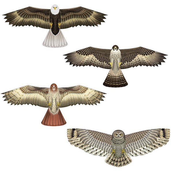 BIRDS OF PREY