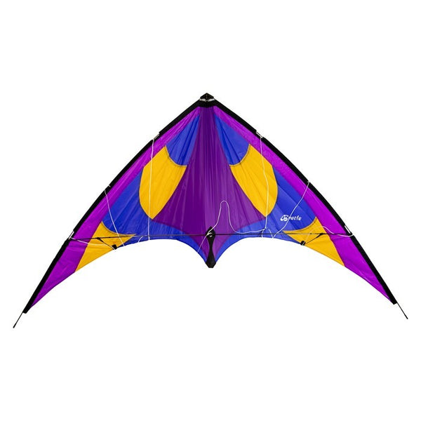 PURPLE BEETLE 4 WITH DYNEEMA LINES