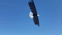 Revolution Eagle Quad Line Kite