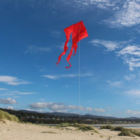 77" WAVE DELTA KITE