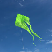 77" WAVE DELTA KITE