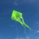 77" WAVE DELTA KITE