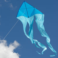 77" WAVE DELTA KITE