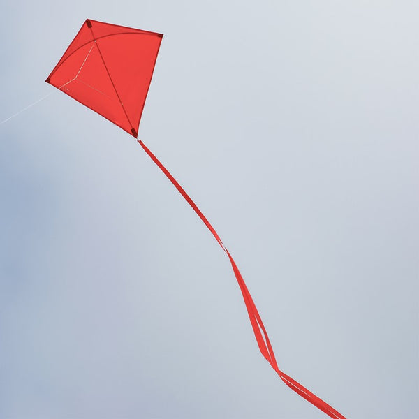 COLORFLY 30" DIAMOND KITE