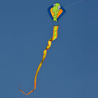 Glo-Worm Kite