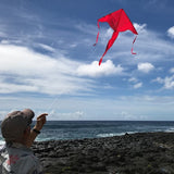 COLORFLY 43" FLY-HI KITE