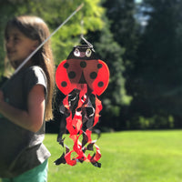 LADYBUG ON WAND