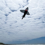5' 3D BLACK SHARK