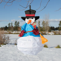 Snowman Wind Friend